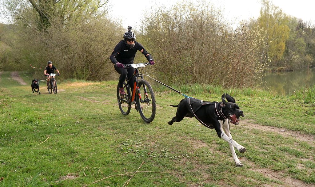 bike-with-dog