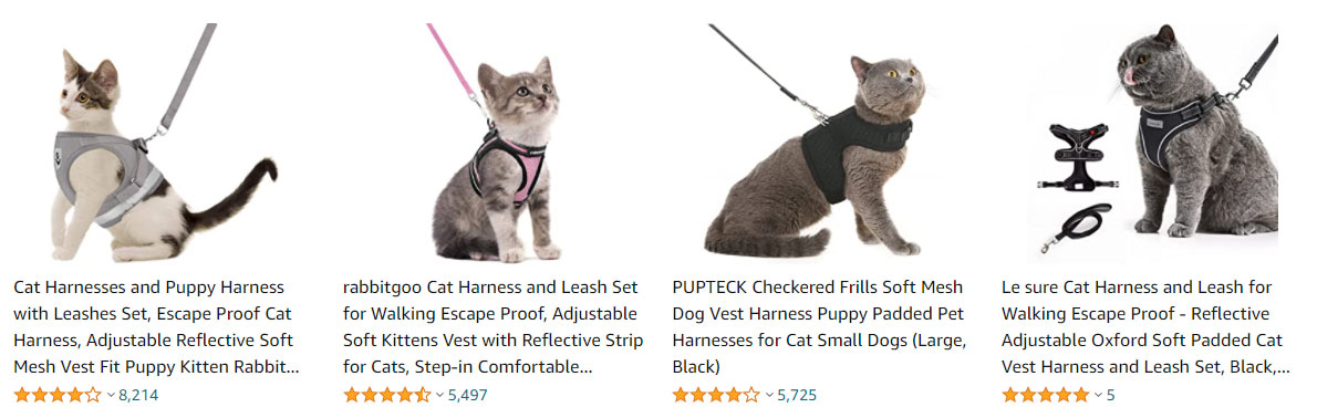 cat-harness