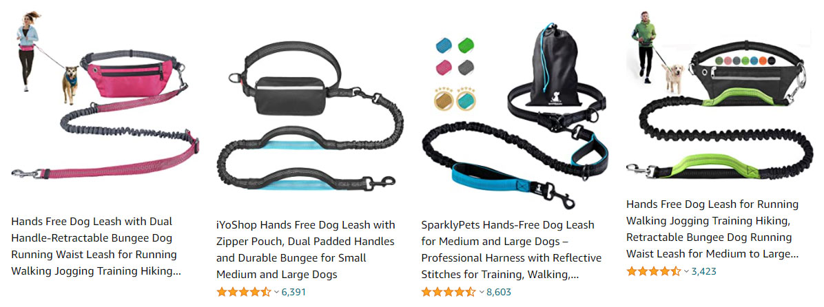 dog-leash-running