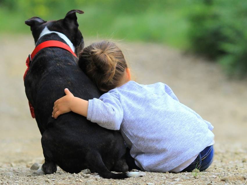 reasons-to-adopt-a-dog