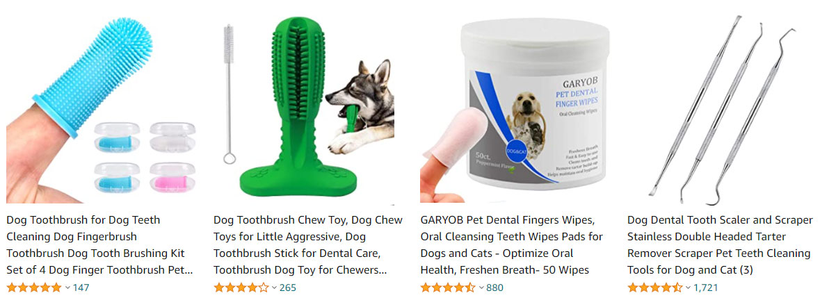 teeth-cleaning-dog